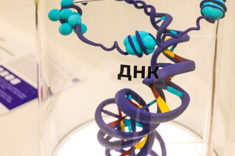 Фото-репортаж: Первый музей биотехнологий открыли во Владивостоке