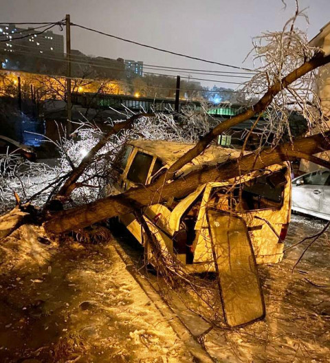Фото-репортаж: Хруст стоит, будто кости ломают: снегопад повалил сотни деревьев во Владивостоке