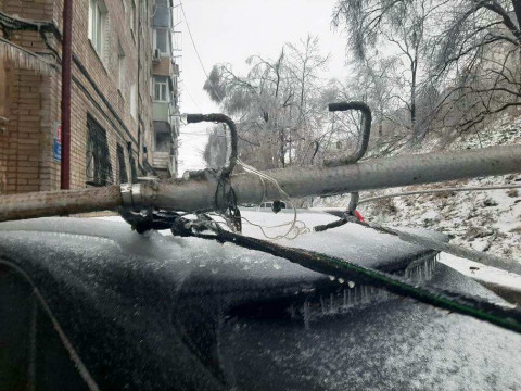 Фото-репортаж: Хруст стоит, будто кости ломают: снегопад повалил сотни деревьев во Владивостоке