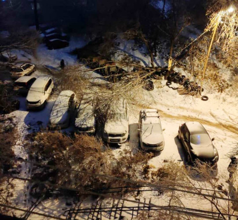 Фото-репортаж: Хруст стоит, будто кости ломают: снегопад повалил сотни деревьев во Владивостоке