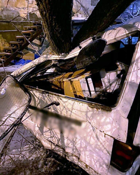 Фото-репортаж: Хруст стоит, будто кости ломают: снегопад повалил сотни деревьев во Владивостоке