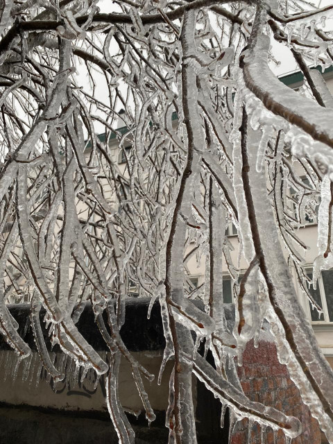 Фото-репортаж: Приморье в ледяном плену без связи, света и дорог: фото