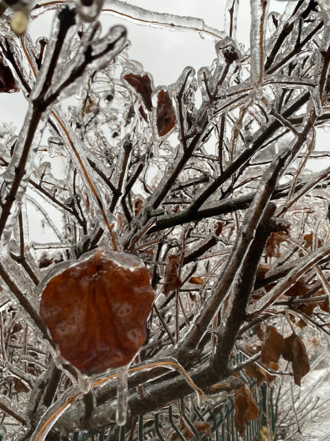 Фото-репортаж: Приморье в ледяном плену без связи, света и дорог: фото