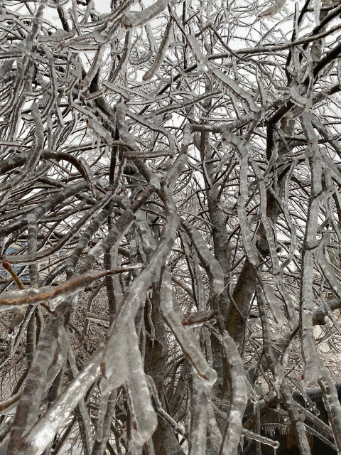Фото-репортаж: Приморье в ледяном плену без связи, света и дорог: фото