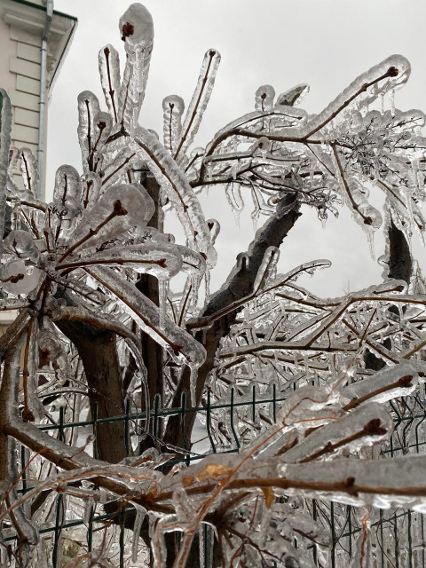 Фото-репортаж: Приморье в ледяном плену без связи, света и дорог: фото