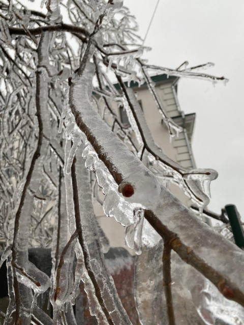Фото-репортаж: Приморье в ледяном плену без связи, света и дорог: фото