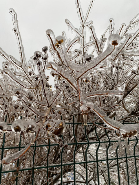 Фото-репортаж: Приморье в ледяном плену без связи, света и дорог: фото