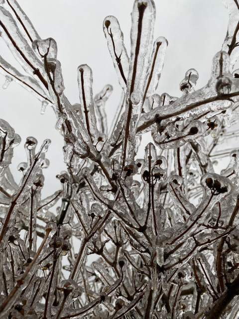 Фото-репортаж: Приморье в ледяном плену без связи, света и дорог: фото