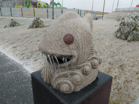 Фото-репортаж: Приморье в ледяном плену без связи, света и дорог: фото