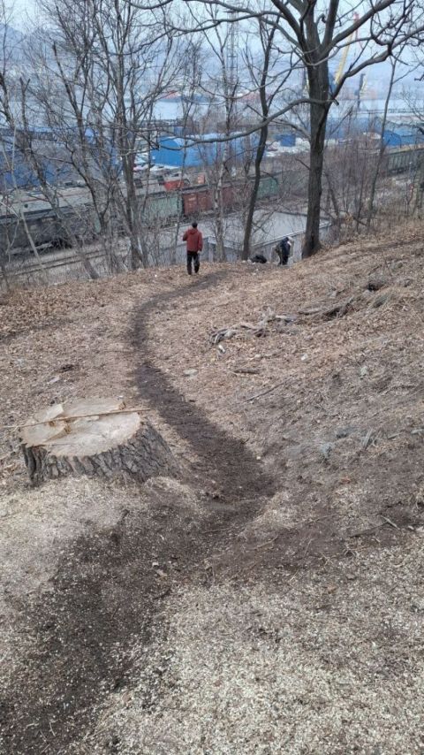 Фото-репортаж: Женщина получила травму при падении с аварийной лестницы во Владивостоке