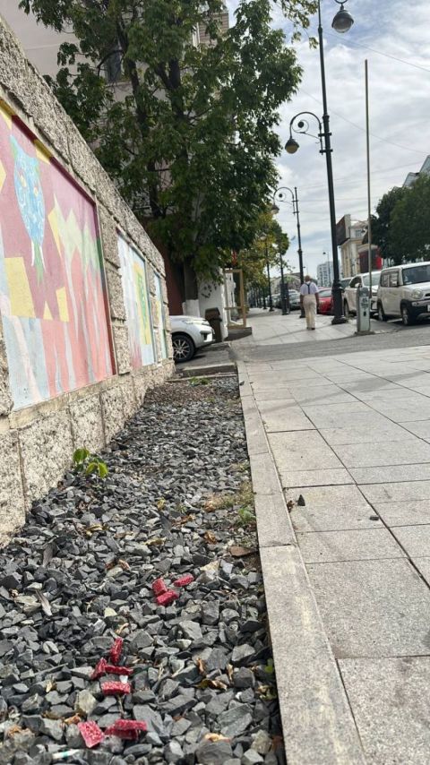 Фото-репортаж: Способ дератизации в центре Владивостока обеспокоил горожан