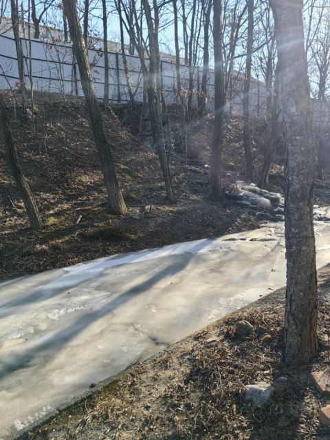 Фото-репортаж: Ещё одна поликлиника Владивостока стала недоступна для пациентов из-за обледенения