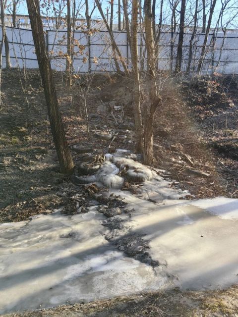 Фото-репортаж: Ещё одна поликлиника Владивостока стала недоступна для пациентов из-за обледенения