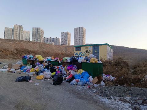 Фото-репортаж: Свалка тлеет - мусор лежит: перебои с вывозом ТКО продолжаются во Владивостоке
