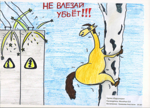 Фото-репортаж: Хабаровчане выбрали лучший рисунок, посвященный электробезопасности