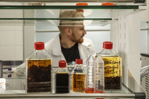 Фото-репортаж: Для чего нужны микроводоросли и как биодобавки помогают спортсменам: ученый открывает секреты лабораторий ПИШ