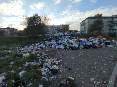 Фото-репортаж: "Дунайский мусорный кризис" не могут разрешить ни прокуратура, ни администрация