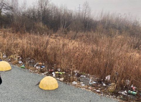 Фото-репортаж: "Отличная реклама для гостей края": ликвидировать нелегальную помойку и стихийную парковку у аэропорта просят приморцы