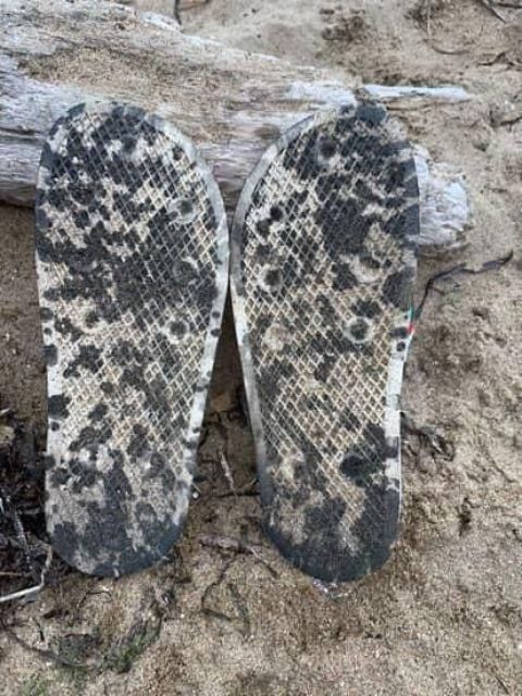 Фото-репортаж: "Не оттирается даже спиртом" - популярный пляж Владивостока загрязнили мазутом