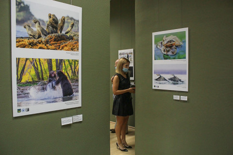 Фото-репортаж: Какими событиями открылся фотофестиваль «Глубина резкости» - фоторепортаж