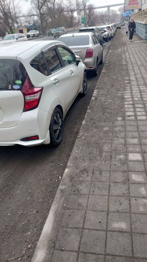 Фото-репортаж: Грязевая столица: жители Владивостока жалуются на повсеместную антисанитарию