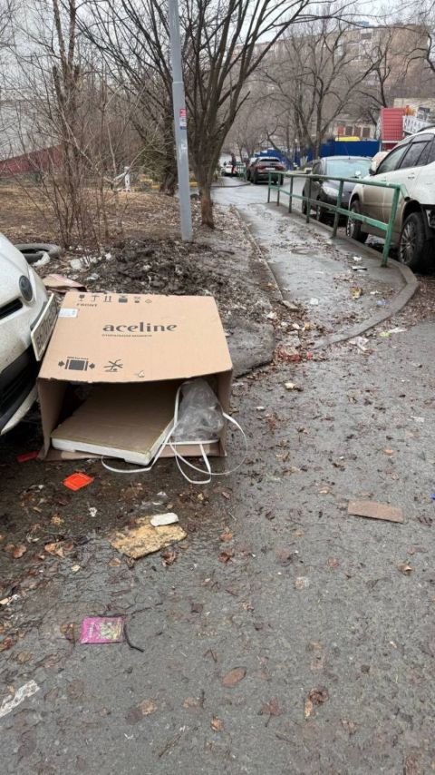 Фото-репортаж: Грязевая столица: жители Владивостока жалуются на повсеместную антисанитарию