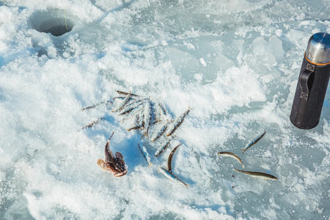 Фото-репортаж: "Ты рыбачка, я - рыбак" - на фестивале в Приморье определили семью-победительницу