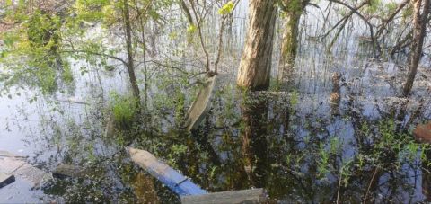 Фото-репортаж: Плывущие мертвецы: кладбище уходит под воду в Приморье