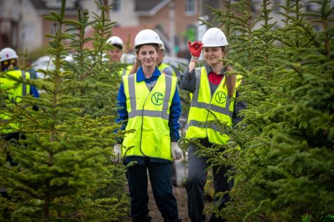 Фото-репортаж: Всё больше зеленых насаждений появляется в поселке Врангель