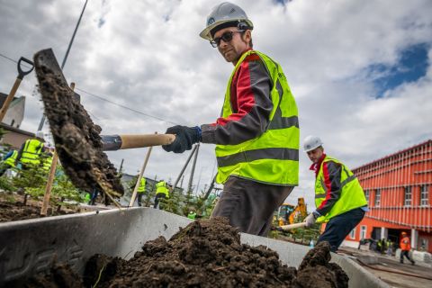 Фото-репортаж: Всё больше зеленых насаждений появляется в поселке Врангель