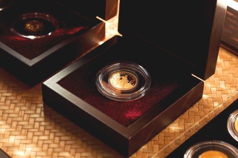 Фото-репортаж: Золотой стандарт инвестирования: профессиональный дилер открыл офис во Владивостоке