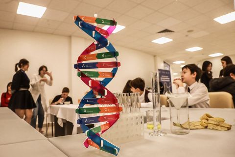 Фото-репортаж: Парфюм, шарики сока, личный сад, квиз – научный фестиваль работает в ДВФУ