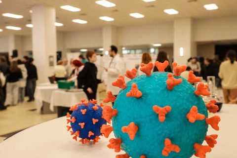 Фото-репортаж: Парфюм, шарики сока, личный сад, квиз – научный фестиваль работает в ДВФУ