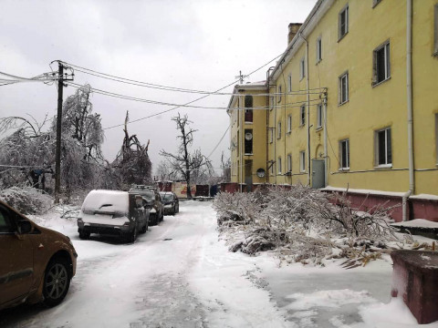 Фото-репортаж: «Сами просеку прорубали»: как выживают жители острова Русский без света