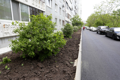 Фото-репортаж: Отремонтированные дворы принимают жители Владивостока