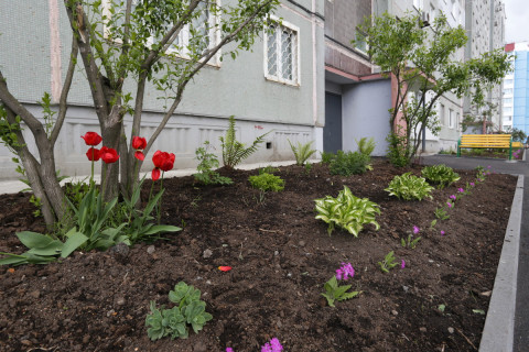 Фото-репортаж: Отремонтированные дворы принимают жители Владивостока