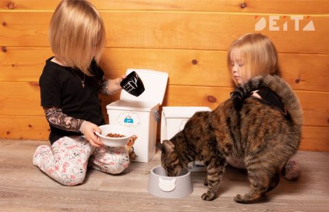 Фото-репортаж: Многодетная семья и домашние животные – зачем детям нужен пушистый друг