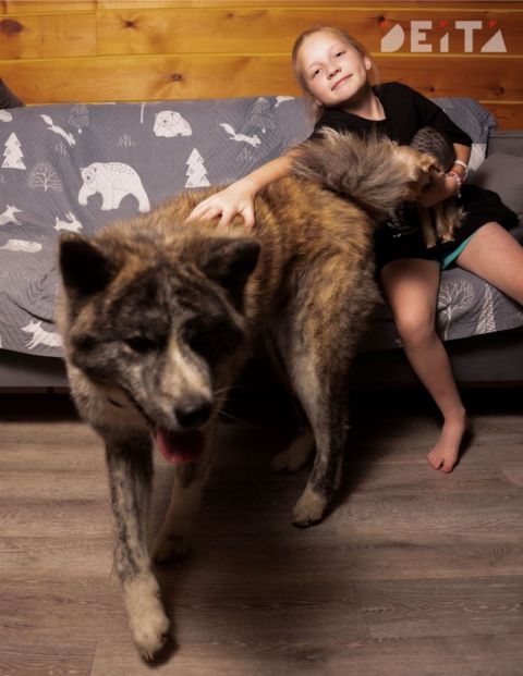 Фото-репортаж: Многодетная семья и домашние животные – зачем детям нужен пушистый друг