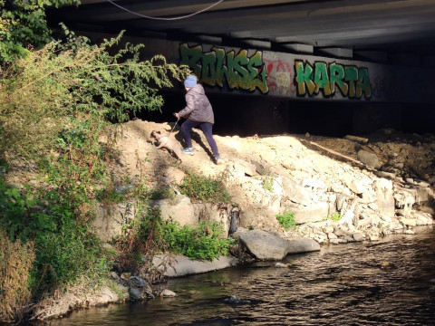 Фото-репортаж: «Сточная канава»: состояние городских рек тревожит экологов