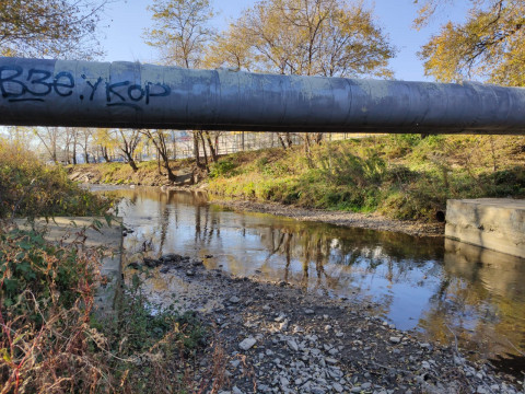 Фото-репортаж: «Сточная канава»: состояние городских рек тревожит экологов