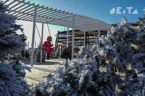 Фото-репортаж: Не мэр, а праздник: Константин Шестаков преобразил Владивосток к Новому году