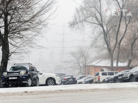 Фото-репортаж: Первый сильный снегопад сезона накрыл Владивосток - фоторепортаж