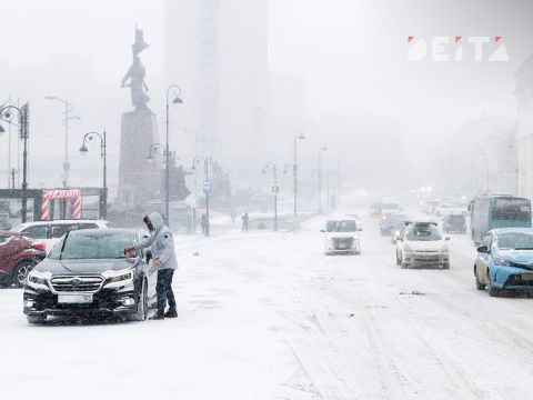 Фото-репортаж: Первый сильный снегопад сезона накрыл Владивосток - фоторепортаж