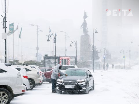 Фото-репортаж: Первый сильный снегопад сезона накрыл Владивосток - фоторепортаж