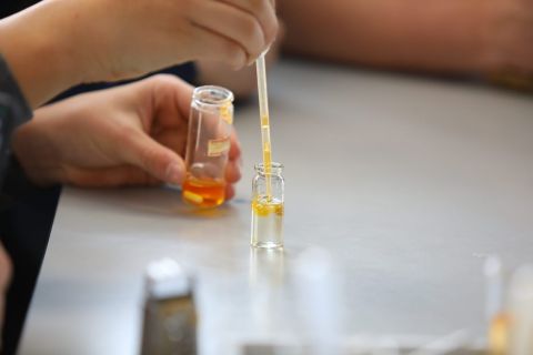 Фото-репортаж: Школьники Находки перенимают опыт у студентов ДВФУ