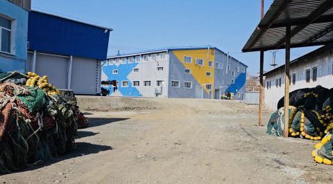 Фото-репортаж: «Доброфлот» остановит работу из-за «ароматной» проблемы в Приморье