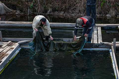 Фото-репортаж: Сотрудники терминала «Порт «Вера» вернули природе более 500 тысяч мальков кеты