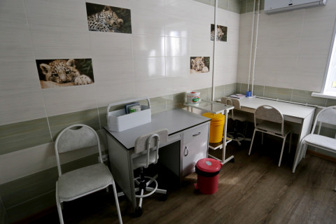 Фото-репортаж: Маленьких пациентов принимают врачи в обновленной поликлинике во Владивостоке