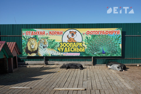 Фото-репортаж: Достопримечательности Уссурийска предлагают посетить приморцам