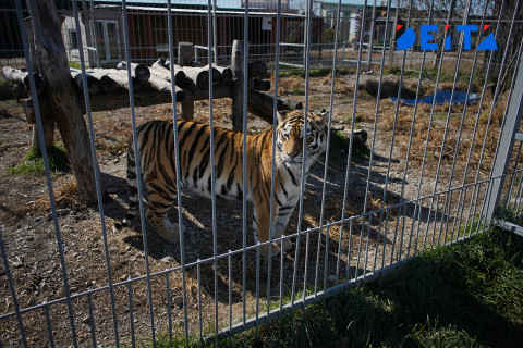 Фото-репортаж: Достопримечательности Уссурийска предлагают посетить приморцам